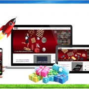 création site web e-Commerce imagia